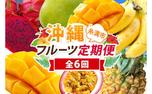 【定期便全6回】沖縄 フルーツ 定期便 6回 パッションフルーツ 沖縄産パイナップル パイン マンゴー キーツマンゴー ドラゴンフルーツ バナナ フルーツ定期便 旬 フルーツ 果物 くだもの 沖縄マンゴー 定期便 季節の果物 産地直送 沖縄県 糸満市 【 先行予約 2026年 発送 】 178-8