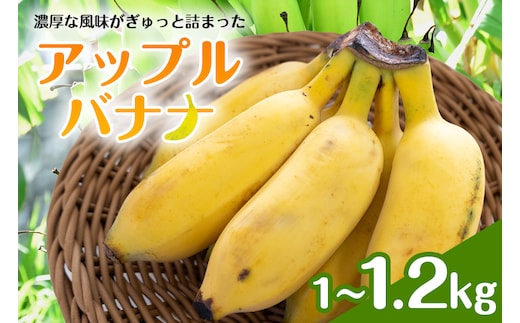 アップルバナナ1～1.2kg 194-5
