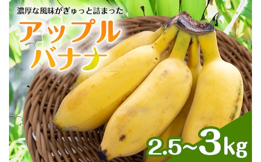アップルバナナ2.5～3kg 194-6