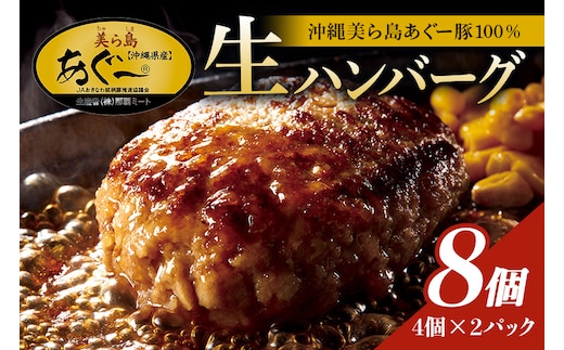 美ら島あぐー ハンバーグ 8個 セット