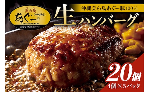 美ら島あぐー ハンバーグ 20個 セット