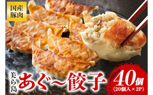 美ら島あぐー餃子 40個セット 20個入×2パック