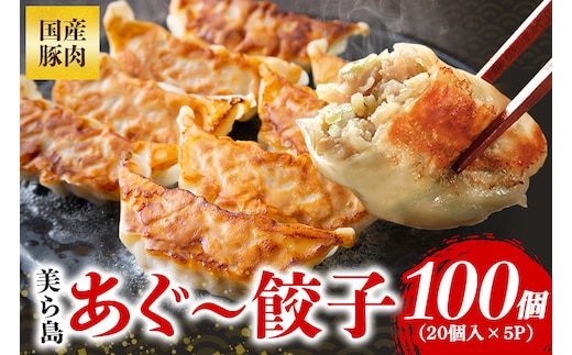 美ら島あぐー餃子 100個セット 20個入×5パック
