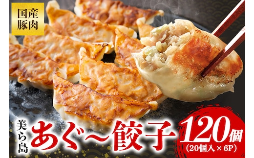 美ら島あぐー餃子 120個セット 20個入×6パック