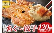 美ら島あぐー餃子 120個セット 20個入×6パック 61-27