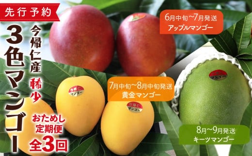 【お試し定期便】稀少3色マンゴー食べ比べセット（赤・黄・緑）【2026年 赤：6月中旬～7月頃 黄：7月中旬～8月中旬頃 緑：8月～9月頃発送】生産者直送