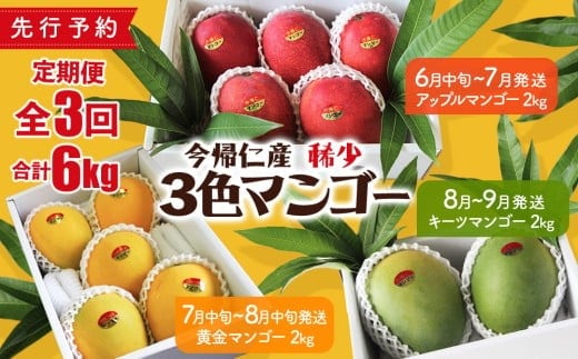 【定期便】稀少3色マンゴー（赤・黄・緑）【2026年 赤：6月中旬～7月頃 黄：7月中旬～8月中旬頃 緑：8月～9月頃発送】生産者直送