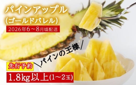 【2026年6～8月頃配送】今帰仁産パインアップル（ゴールドバレル）1.8kg以上 1～2玉 先行予約