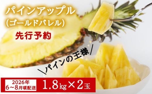【2026年6～8月頃配送】【限定70箱】今帰仁産パインアップル（ゴールドバレル）1.8kg×2玉 先行予約