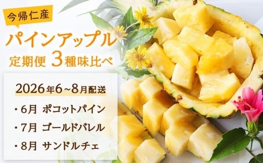 【定期便 限定100セット】今帰仁産パインアップル3種味比べセット【2026年6月・7月・8月 3回配送】先行予約