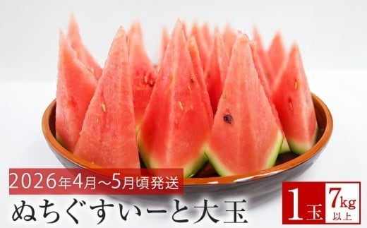 【JAおきなわ】厳選すいか！ぬちぐすいーと 大玉７kg以上【2026年4月～5月頃発送】先行予約
