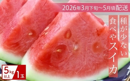 【（有）今帰仁すいか】種が少ない食べやスイカ 5kg【2026年3月下旬～5月頃発送】