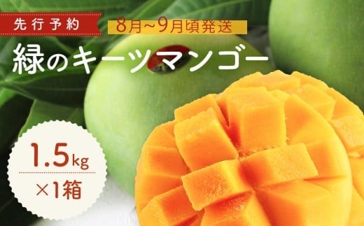 緑のキーツマンゴー1.5kg【2026年8月～9月頃発送】生産者直送 先行予約