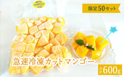急速冷凍カットマンゴー 金蜜300g×２（限定50セット）【沖縄県今帰仁村産】