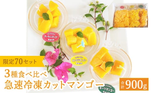 急速冷凍カットマンゴー 3種食べ比べセット（限定70セット）【沖縄県今帰仁村産】