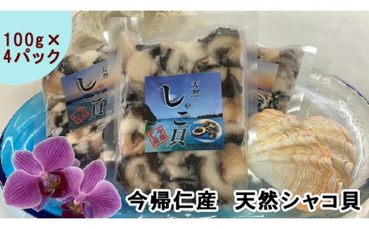 今帰仁産 天然シャコ貝 贅沢な４パック