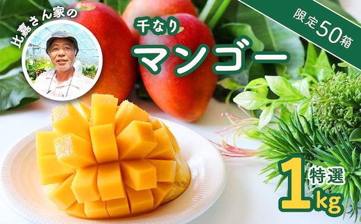 【限定50箱】比嘉さん家の千なりマンゴー(特選・1kg)【2026年6月下旬～7月頃に発送】