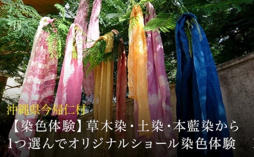 【染色体験】草木染・土染・本藍染から1つ選んでオリジナルショール染色体験 1名様
