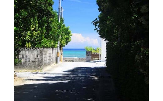 歴史と自然を体感！（今泊集落・フクギ並木の散策コース）