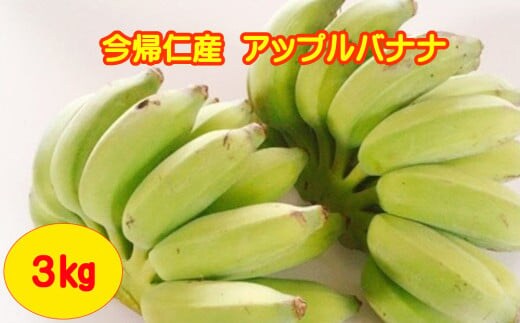 今帰仁村産アップルバナナ（農薬不使用）3kg