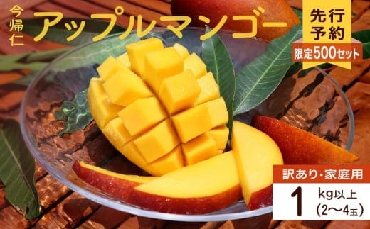 【訳あり・家庭用】【生産者応援】限定500セット 今帰仁アップルマンゴー1kg以上(白箱）【2026年6月中旬～8月中旬頃発送】