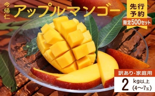【訳あり・家庭用】【生産者応援】限定500セット 今帰仁アップルマンゴー2kg以上(白箱）【2026年6月中旬～8月中旬頃発送】
