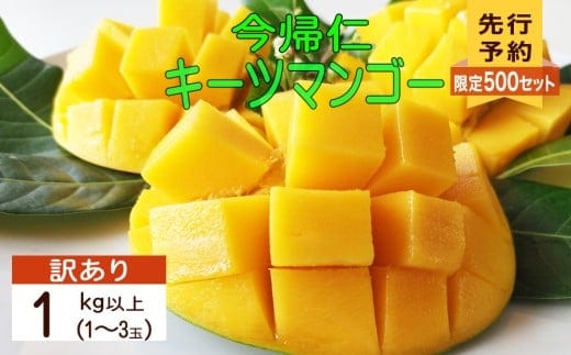 【訳あり 限定500セット】【生産者応援】緑のキーツマンゴー1kg以上（白箱）【2026年8月～9月頃発送】【生産者応援】