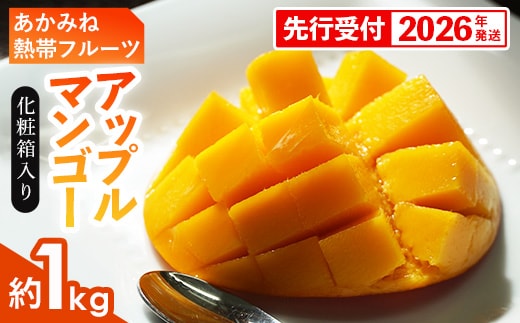【化粧箱入】【先行受付・2026年発送】あかみね熱帯フルーツのアップルマンゴー約1kg - 先行予約 沖縄県産 産地直送 南国フルーツ 旬の味覚 季節の果物 贈り物 ギフト 沖縄県 八重瀬町