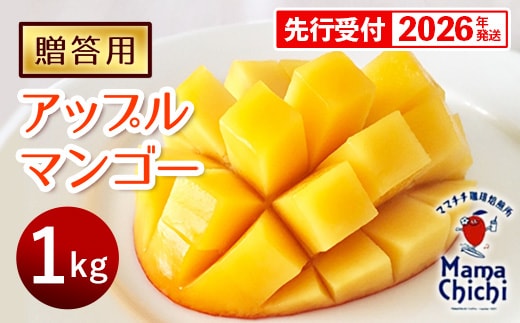 【贈答用】【先行受付・2026発送】ママチチマンゴーファームの贈答用アップルマンゴー約1kg - 先行予約 沖縄県産 産地直送 南国フルーツ 旬の味覚 旬のフルーツ 贈り物 ギフト 沖縄県 八重瀬町