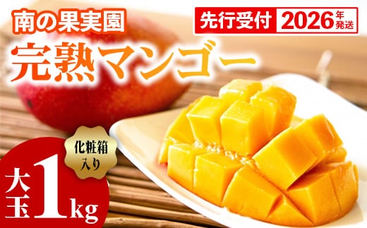 【化粧箱入】【先行受付・2026年発送】南の果実園 完熟マンゴー 大玉 1kg（2玉）〈贈答用化粧箱入り〉- 先行予約 沖縄県産 産地直送 アップルマンゴー 旬の味覚 季節の果物 贈り物 ギフト 沖縄県 八重瀬町