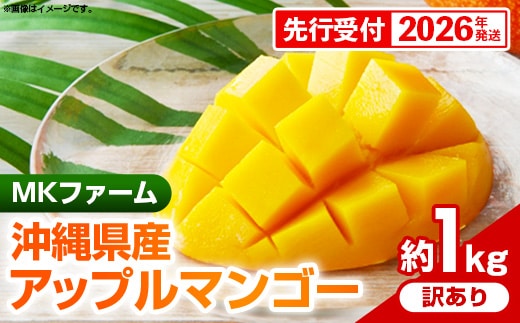 【先行受付】【2026年発送】MKファームの訳ありアップルマンゴー約1kg【訳あり】- 訳アリ 先行予約 家庭用 ご自宅用 沖縄県産 産地直送 南国フルーツ 旬の味覚 アップルマンゴー オススメ 沖縄県 八重瀬町