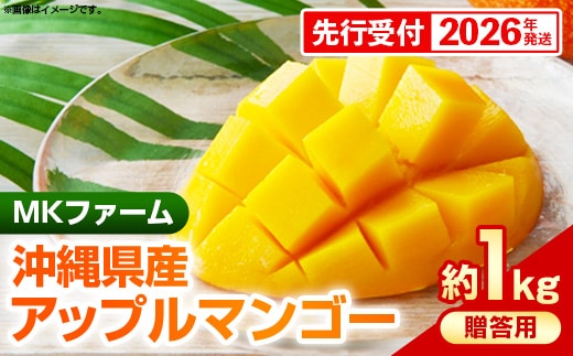 【先行受付】【2026年発送】MKファームの贈答用アップルマンゴー約1kg【贈答用】- 贈答用 ギフト 先行予約 沖縄県産 産地直送 南国フルーツ 旬の味覚 アップルマンゴー オススメ 沖縄県 八重瀬町