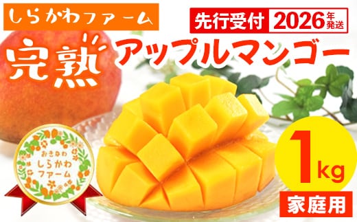 【先行受付】【2026年発送】しらかわファームの家庭用アップルマンゴー約1kg - 先行予約 沖縄県産 産地直送 南国フルーツ 旬の味覚 季節の果物 ご自宅用 家庭用 沖縄県 八重瀬町