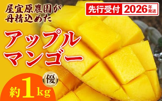 【先行受付】【2026年発送】屋宜原農園が丹精込めた「アップルマンゴー」優約1kg - 先行予約 沖縄県産 産地直送 南国フルーツ 旬の味覚 季節の果物 贈り物 ギフト 沖縄県 八重瀬町