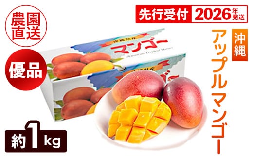 【化粧箱入】【先行受付・2026年発送】ヤマト農園 アップルマンゴー約1kg（優品）- 先行予約 沖縄県産 産地直送 南国フルーツ 旬の味覚 季節の果物 贈り物 ギフト 沖縄県 八重瀬町