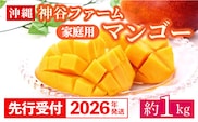 【先行受付】【2026年発送】神谷ファームのマンゴー（家庭用）約1Kg - 先行予約 沖縄県産 産地直送 南国フルーツ 旬の味覚 季節の果物 ご自宅用 沖縄マンゴー 沖縄県 八重瀬町