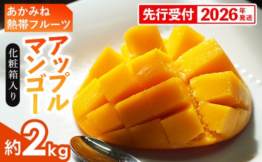 【化粧箱入】【先行受付・2026年発送】あかみね熱帯フルーツのアップルマンゴー約2kg - 先行予約 沖縄県産 産地直送 南国フルーツ 旬の味覚 季節の果物 贈り物 ギフト 沖縄県 八重瀬町
