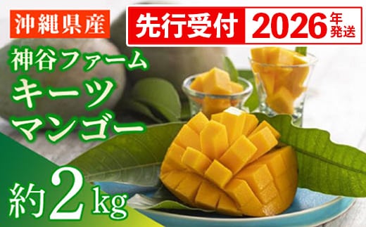 【先行受付】【2026年発送】神谷ファームのキーツマンゴー 約2kg - 先行予約 沖縄県産 産地直送 南国フルーツ 旬の味覚 季節の果物 希少種 贈り物 ギフト 沖縄県 八重瀬町