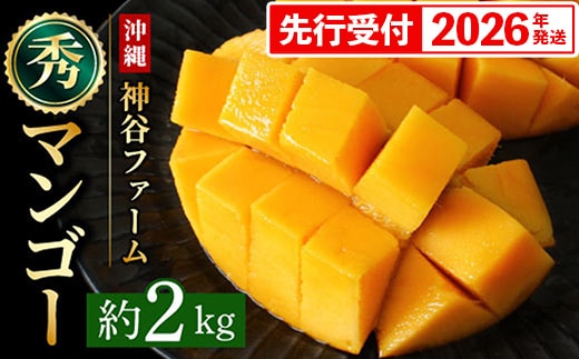 【化粧箱入】【先行受付・2026年発送】神谷ファームのマンゴー（秀）約2kg - 先行予約 沖縄県産 産地直送 南国フルーツ 旬の味覚 季節の果物 贈り物 ギフト 沖縄県 八重瀬町