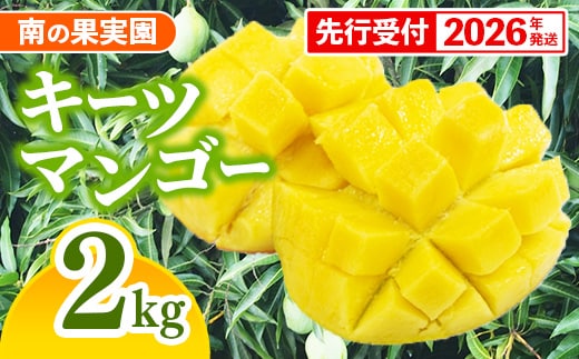 【先行受付】【2026年発送】南の果実園 キーツマンゴー 2kg（2～4玉）- 先行予約 沖縄 産地直送 南国フルーツ 旬の味覚 沖縄県産 国産マンゴー 希少種 季節の果物 沖縄県 八重瀬町