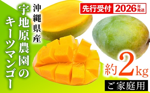 【先行受付】【2026年発送】宇地原農園の沖縄県産 家庭用キーツマンゴー約2kg - 先行予約 沖縄県産 産地直送 南国フルーツ 旬の味覚 季節の果物 ご自宅用 希少種 沖縄県 八重瀬町