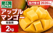 【先行受付】【2026年発送】JAおきなわの産直アップルマンゴー 約2kg【ご家庭用・白箱】- 先行予約 沖縄 産地直送 季節の果物 旬の味覚 ご自宅用 トロピカルフルーツ 沖縄県 八重瀬町