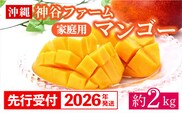 【先行受付】【2026年発送】神谷ファームのマンゴー（家庭用）約2Kg - 先行予約 沖縄県産 産地直送 南国フルーツ 旬の味覚 季節の果物 ご自宅用 沖縄マンゴー 沖縄県 八重瀬町