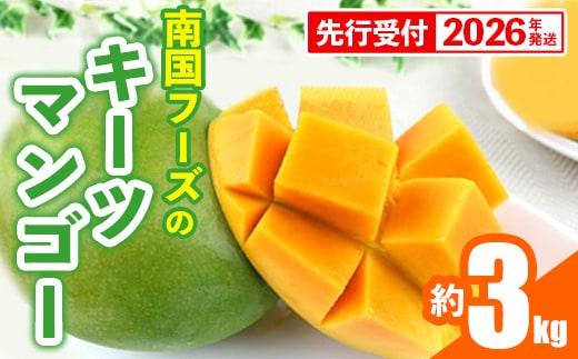 【先行受付】【2026年発送】南国フーズのキーツマンゴー 約3kg - 先行予約 沖縄 産地直送 南国フルーツ 旬の味覚 沖縄県産 国産マンゴー 希少種 オススメ 沖縄県 八重瀬町