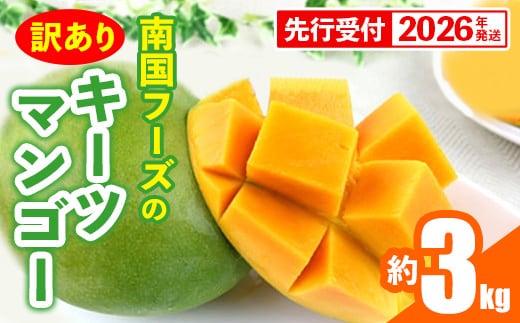 【先行受付】【2026年発送】南国フーズのキーツマンゴー 訳あり 約3kg - 先行予約 沖縄 産地直送 南国フルーツ ご家庭用 ご自宅用 国産マンゴー 希少種 オススメ 沖縄県 八重瀬町