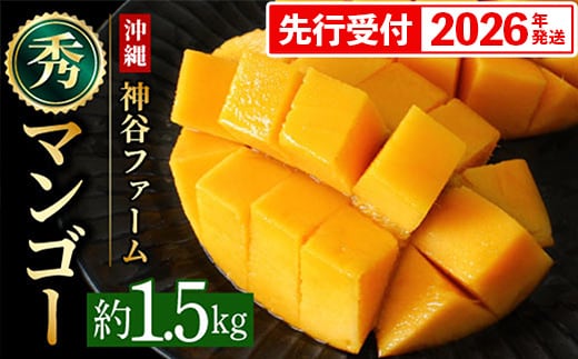 【化粧箱入】【先行受付・2026年発送】神谷ファームのマンゴー（秀）約1.5Kg - 先行予約 沖縄県産 産地直送 南国フルーツ 旬の味覚 季節の果物 贈り物 ギフト 沖縄県 八重瀬町