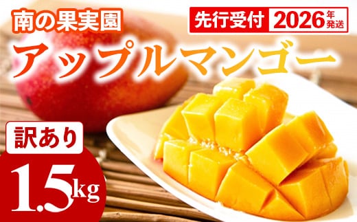 【先行受付】【2026年発送】南の果実園 アップルマンゴー 訳あり品 1.5kg（3～7玉）- 先行予約 沖縄県産 産地直送 南国フルーツ 旬の味覚 季節の果物 ご自宅用 家庭用 沖縄県 八重瀬町