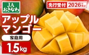 【先行受付】【2026年発送】JAおきなわの産直アップルマンゴー 約1.5kg【ご家庭用・白箱】- 先行予約 沖縄 産地直送 南国フルーツ 旬の味覚 家庭用 オススメ 沖縄県 八重瀬町