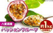 【化粧箱入】【先行受付・2026年発送】わらやーファーム パッションフルーツ 約1kg - 贈答用 プレゼント 贈り物 ギフト 南国フルーツ 国産 先行予約 おすすめ 沖縄県 八重瀬町
