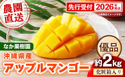 【化粧箱入り】【先行受付・2026年発送】なか果樹園 アップルマンゴー 優品 約2kg - 産地直送 先行予約 沖縄県産 贈り物 ギフト プレゼント 南国フルーツ 旬の味覚 オススメ 沖縄県 八重瀬町